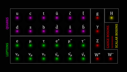 Standard Model of Elementary Particles vector design