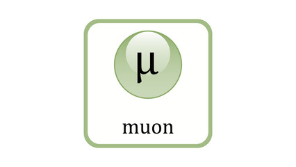 Muon icon. Standard Model of Elementary Particles vector design