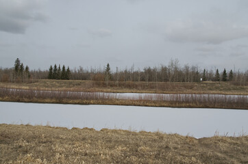 Pylypow Wetlands on a Cloudy Spring Day