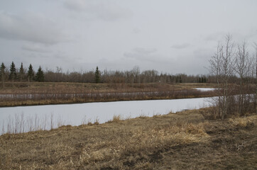 Pylypow Wetlands on a Cloudy Spring Day