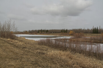 Pylypow Wetlands on a Cloudy Spring Day