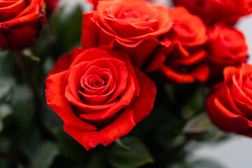 Beautiful bouquet of red roses wedding flowers on white background. Light minimal interior, decoration of apartment, copy space
