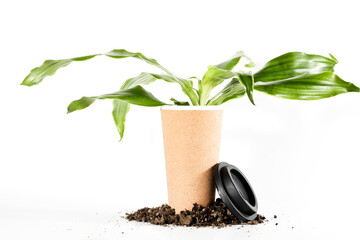 plant in reusable eco cup with ground on white background. Sustainable lifestyle. Eco friendly and Zero waste concept. environmental issues.