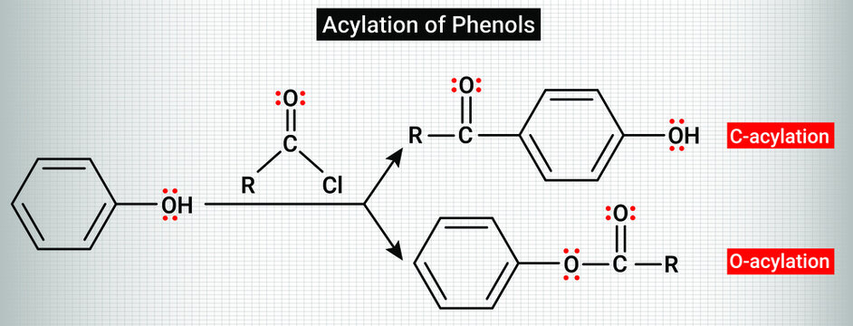 Acylation of Phenols: C-acylation and O-acylation