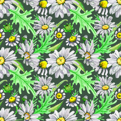 Seamless pattern flower white chamomile watercolor. Buds and green foliage of daisy flowers. Natural background. Medical plant. Hand drawn botanical illustration. Fabric and packaging design.
