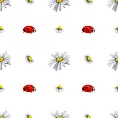 Seamless pattern chamomile ladybug watercolor. Summer background of buds of white daisy flowers. Flowering plant. Hand drawn botanical illustration. Fabric design, packaging.
