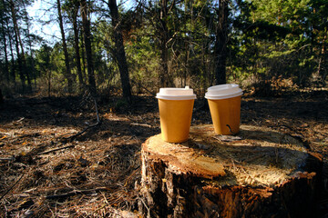 Two disposable cups for coffee in the forest on stump on a bright sunny day.Picnic in nature in forest.