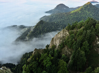 view from the platform on Trzy Korony in Pieniny © Przemek