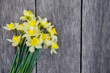 Yellow daffodils on a wooden background. Stylish flowers top view. Space for copy and space for messages. Background for mother's day. Spring flowers and gardening concept