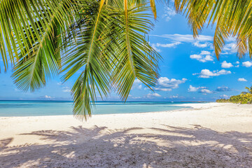 Beach nature concept. Palm leaves over beach in tropical idyllic paradise island. Exotic landscape for dreamy and inspirational summer scenery use for background or wallpaper. Sunny outdoor tourism