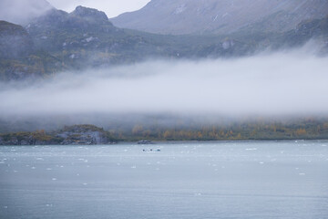 Ice chunks in the water and mountain background at Glacier Bay, Alaska, USA		