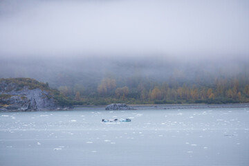 Obraz na płótnie Canvas Ice chunks in the water and mountain background at Glacier Bay, Alaska, USA 
