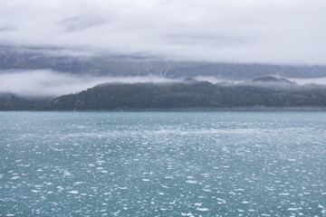 Ice chunks in the water at Glacier Bay, Alaska, USA
