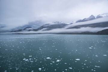 Fototapeta na wymiar Ice chunks in the water and mountain background at Glacier Bay, Alaska, USA 