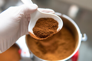 Chaga mushroom. Medicinal chaga mushroom. Inonotus obliquus