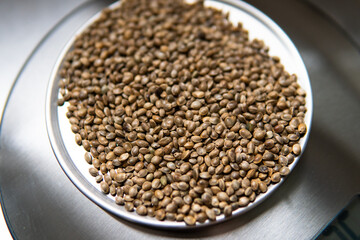 .hemp seeds. Medicinal properties of marijuana seeds