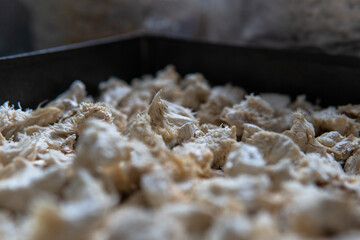 Hericium erinaceus is a popular mushroom nootropic. Medical mushrooms for mental health © kyrylovasyliev