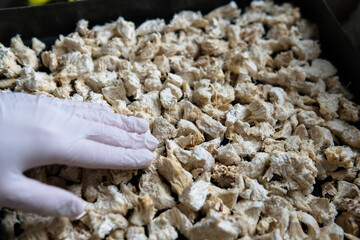 Hericium erinaceus - Medicinal mushrooms for mental health. Lions mane close-up fungi © contentdealer