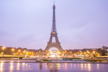 Fototapeta na wymiar Eiffel Tower in Paris in the morning