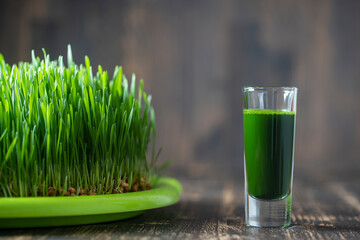 Healthy organic green detox juice from grass of green germinated wheat grains, close up
