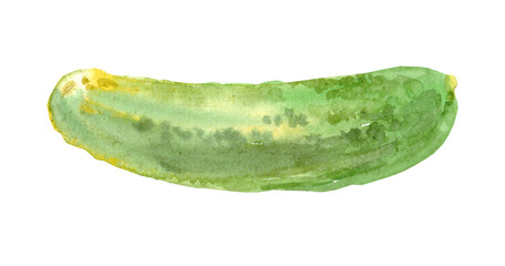 Watercolor cucumbers set. Single isolated elements