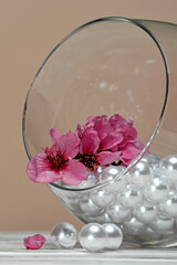 A red sakura branch and mother-of-pearl pearls in a glass vase lie on a table against a beige...