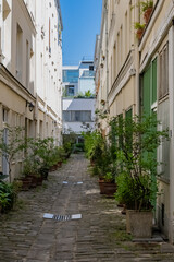 Paris, typical flowering alley in the 11e arrondissement, charming courtyard
