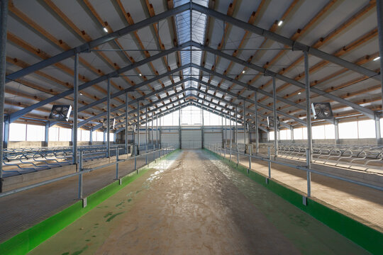 Large cowshed for dairy cows in the final stage of construction