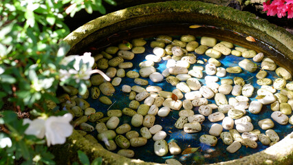 A small round artificial water tank in the territory of a Japanese garden. There are small white pebbles in the water. Flowering plants surround the pond.