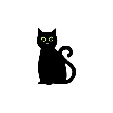 cuty black cat isolated on white background