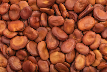 Dried organic healthy fava beans close-up as background
