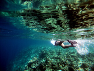 Snorkeling man in flippers. Underwater world. Coral reef. High quality photo.
