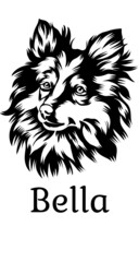  Bella Black White vector