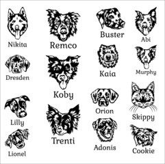 Black White Vector Animal