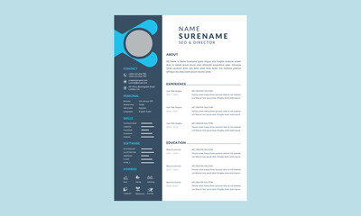 Cv template professional resume Cv template professional resume layout