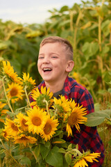 Happy little boy in the field of sunflowers. The child spends time in nature. Summer cozy mood.