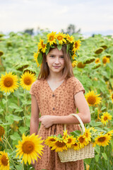 A little beautiful girl with a flower wreath on her head stands in a field with a basket of sunflowers in her hands.