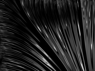 black and white background