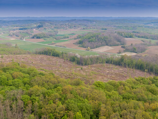 Beautiful forest on Bilogora, near village Zrinski Topolovac