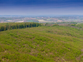 Fototapeta na wymiar Beautiful forest on Bilogora, near village Zrinski Topolovac