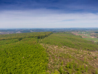 Fototapeta na wymiar Beautiful forest on Bilogora, near village Zrinski Topolovac