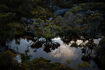 Obraz na płótnie Canvas Reflection of trees on a small stream