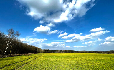 Tranquil landscape next to, Eccup Lane, with extensive fields, trees, and distant hills in, Adel, Leeds, UK