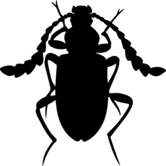 Black illustration of a tropical beetle. The insect is a pest of forests and gardens. Drawing for tattoo
