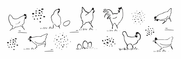 Set of cute chicken hen doodle drawing for yours coloring and print