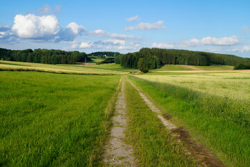 a path leading through the green fields of the German countryside in Birkach on a sunny summer day	
