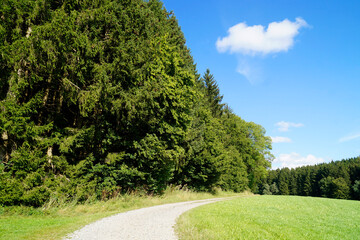 Fototapeta na wymiar a path leading through the green fields of the German countryside in Birkach on a sunny summer day (Birkach, Bavaria, Germany) 