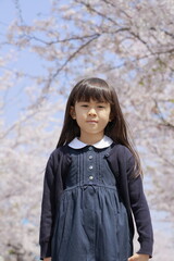 女子小学生と桜 (7歳)