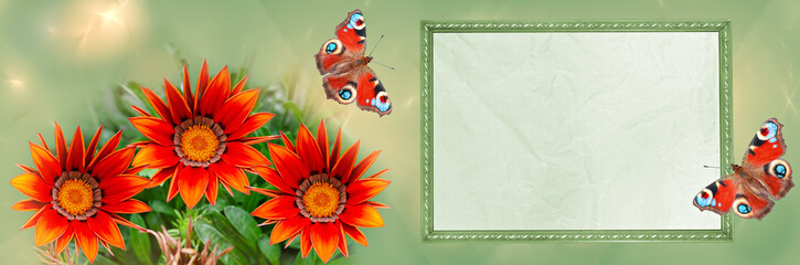 Red Gazania in full color, a text frame and butterflies on a wide-screen defocused background. Fractal overlay, banner