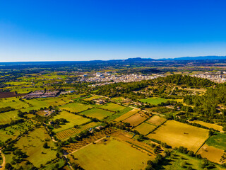 Almond Fields in Mallorca, Spain